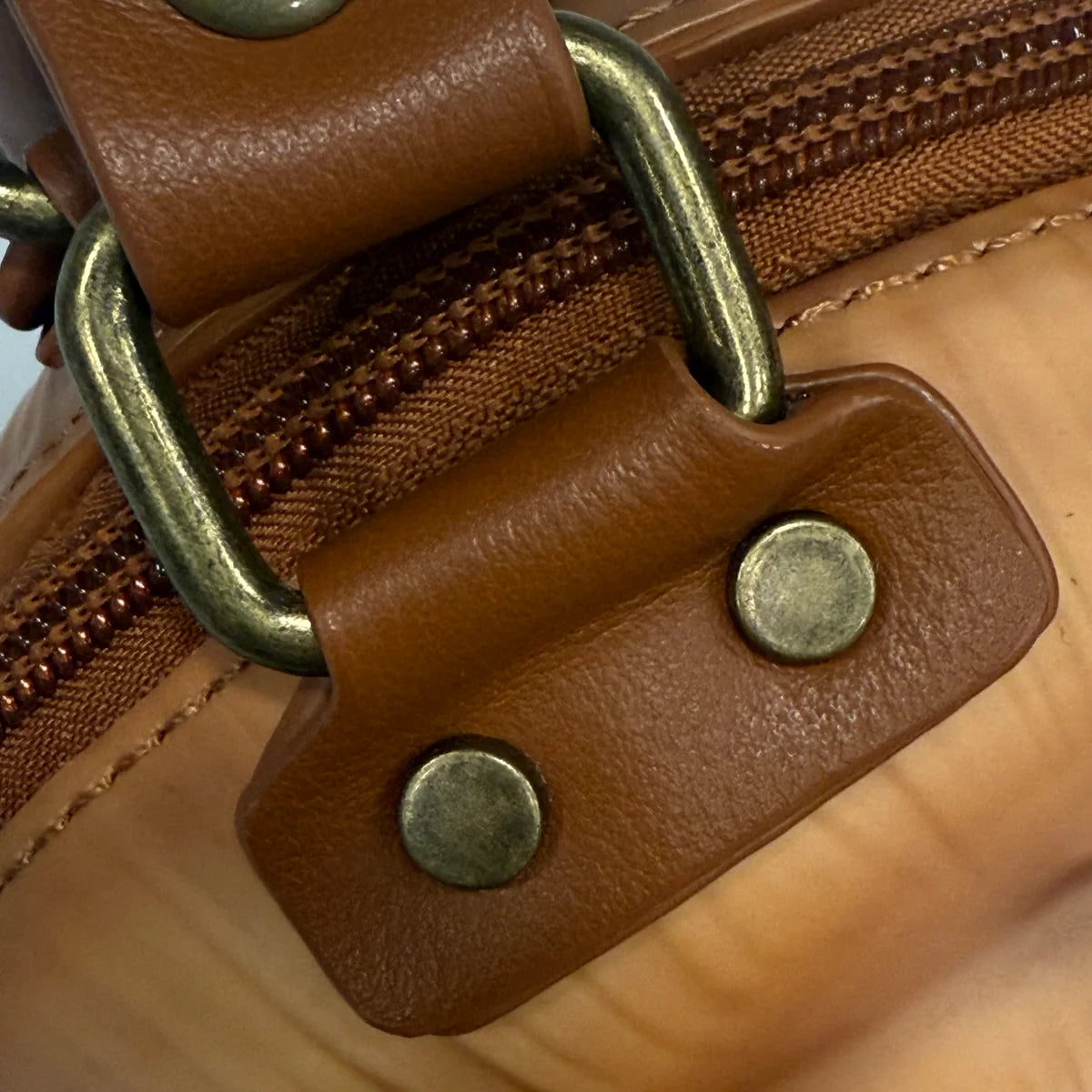 Windy Willows Snail Bag