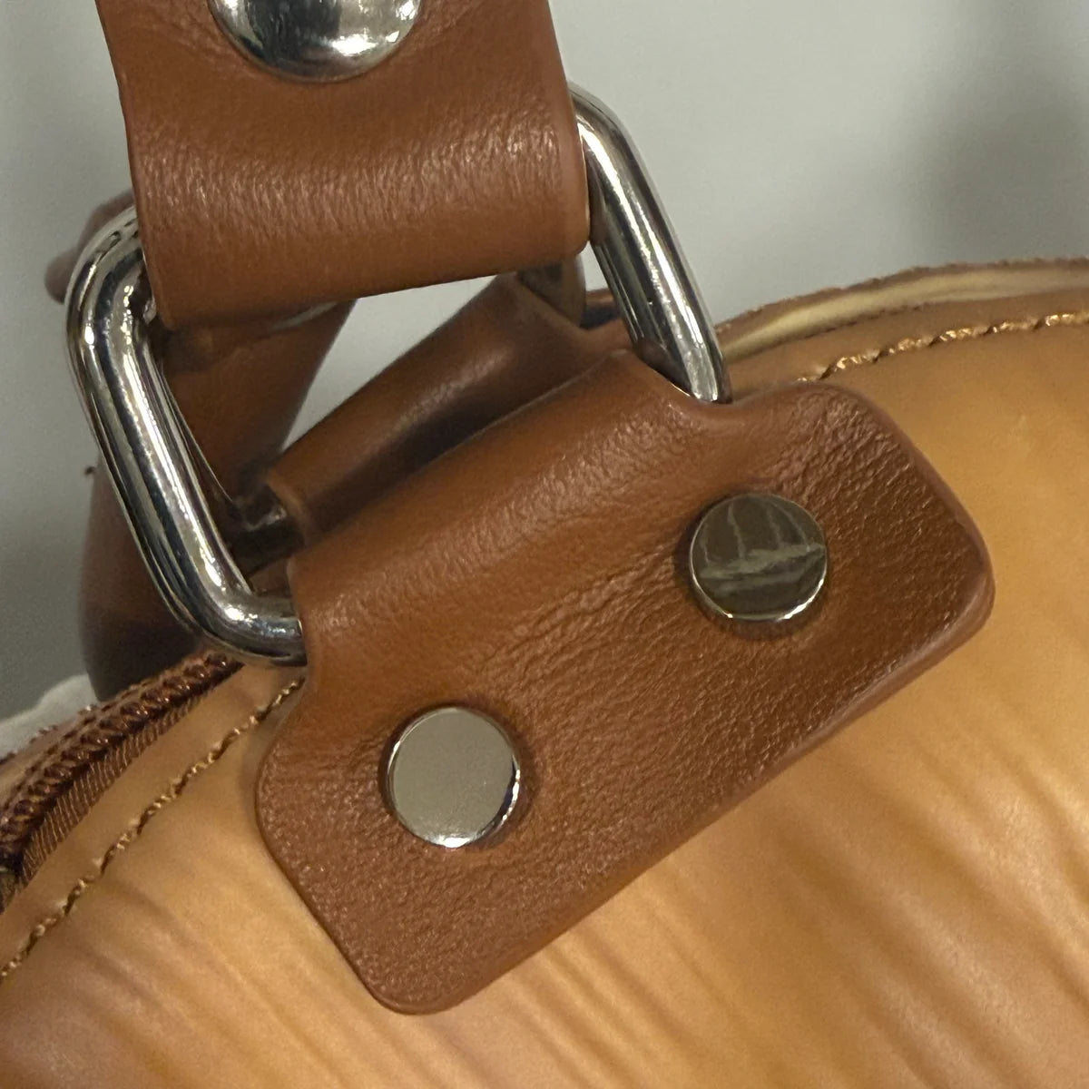Windy Willows Snail Bag